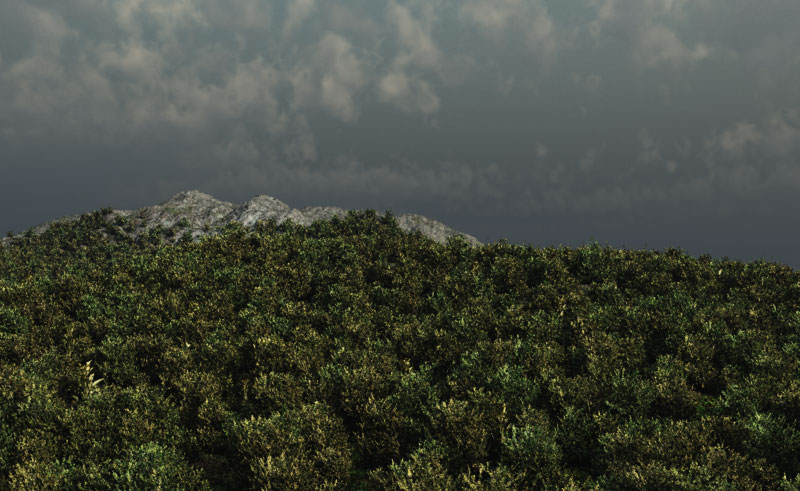gallery/gal/10th_King/Mountain_Forest.jpg