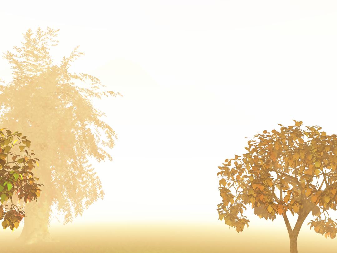 gallery/gal/6th_Sensibility/Sol.jpg